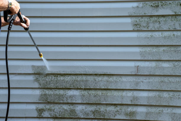 Best Brick Veneer Siding  in Farmerville, LA