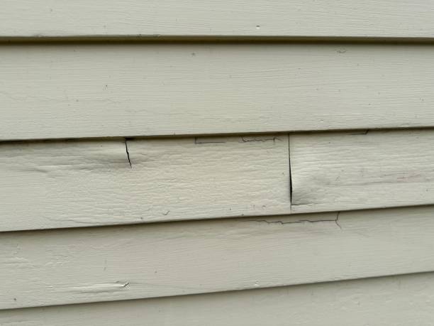 Best Wood Siding Installation  in Farmerville, LA